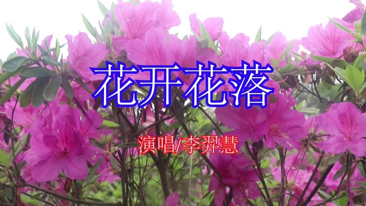 一首电视剧《木棉花的春天》主题曲《花开花落》,唱得太好听了