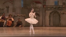 《堂吉诃德》节选 皇家芭蕾舞团 香港国际舞蹈艺术协会HKIDAA