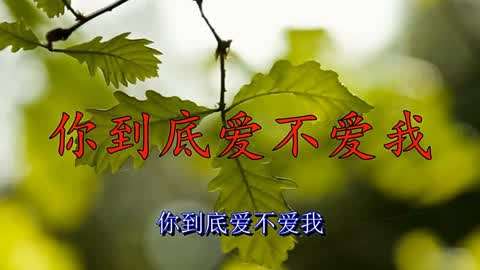 倾情推荐,一首《你到底爱不爱我》经典之作,好听回味,推荐!