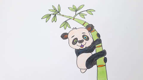 简易画教你画大熊猫爬竹子