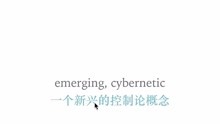 kouyuke 03205 an emerging cybernetic concept