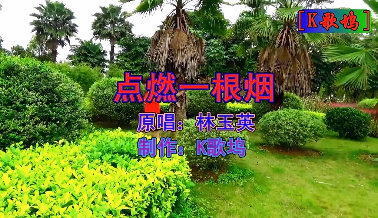 林玉英的一首原声好听歌曲点燃一根烟