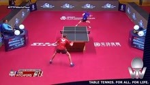 樊振东男单夺冠   刚刚结束的2020年乒乓球卡塔尔公开赛