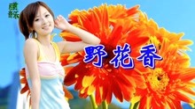 [图]一首情歌《野花香》DJ舞曲，激情劲爆，太美太好听了！