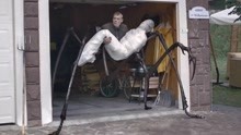 害虫发生变异体型巨大，人类一旦被叮咬，就会变成人形蜘蛛怪！