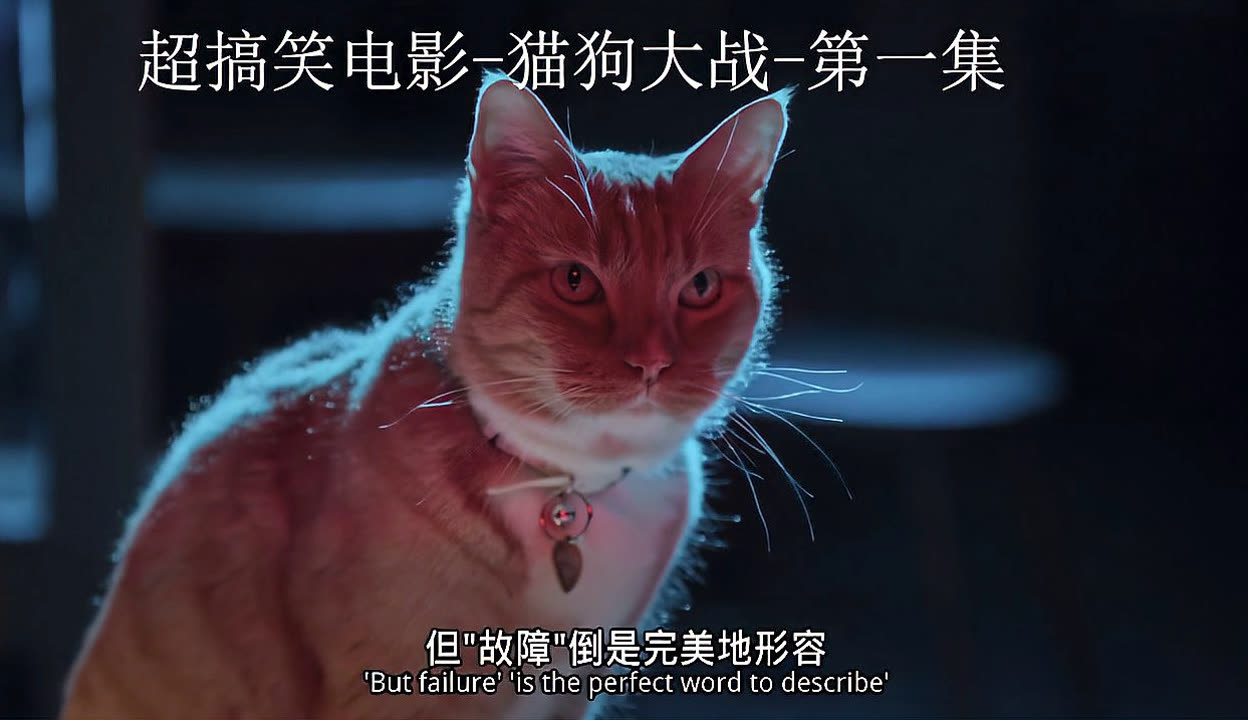 猫狗大战1普通话版图片