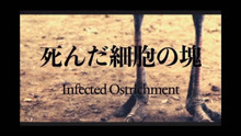 日本残酷死亡金属Shinda Saibo No Katamari - Infected Ostrichment (2020)