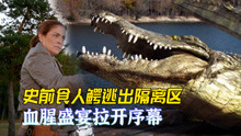 惊悚片：史前巨鳄被高压电网隔离，盗猎者闯鳄鱼领地拉开血腥盛宴