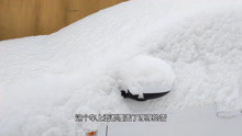 实拍2021年1月19日下雪的北京，车都被雪覆盖了，街景太美