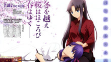 [图]【剧场版】Fate/stay night [Heaven’s Feel] Ⅲ.春之歌 BD ufotable限定特典映像【自制字幕】