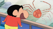 蜡笔小新：小新到水族馆看螃蟹，看着看着就饿了！