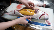 日本大厨杀鱼取卵，晒干后直接生吃，难道不怕腥吗？