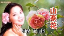 [图]邓丽君名曲《山茶花》经典老歌