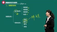 [图]2021年临床检验技师 微生物检验 精讲班