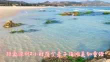 深圳周边最美亲子玩水海滩，水清浅沙洁净，可露营挖贝抓蟹钓鱼