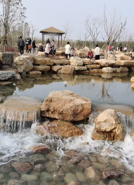 长垣市第一湿地公园图片