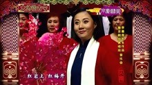 现代京剧《江姐》选段，红梅赞，周婧饰江姐，2009年录像
