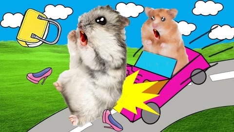 仓鼠车动画图片
