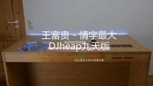 [图]《情字最大》DJheap九天版，DJ热歌榜第六名，音乐可视化特效