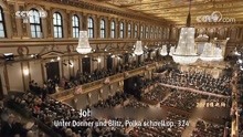 2018维也纳新年音乐会：《雷鸣电闪》快速波尔卡