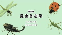 [图]《昆虫备忘录》小学语文三年级下册 课文朗读