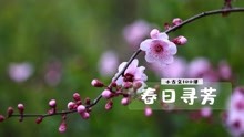 [图]小古文《春日寻芳》：跟姜老师一起探寻春暖花开的日子