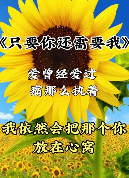 《只要你还需要我》爱曾经来过,痛那么执着,归根结底是难以舍得!