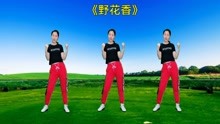 [图]DJ版广场舞《野花香》歌曲好听，节奏欢快，动感时尚