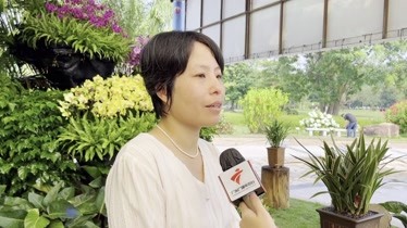 中国科学院华南植物园综合办公室副主任黄瑞兰介绍精品兰花展情况