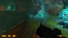 [图]半条命系列作品的重置版-黑山：Black Mesa-21-柴狗的单机实况