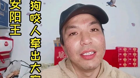 安阳狗咬人带出大案,安阳王果然名不虚传!