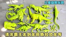 儿童益智玩具：清洗霸王龙剑龙哥斯拉恐龙等