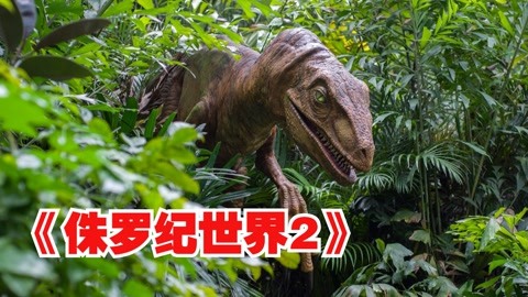三、玩家群體
