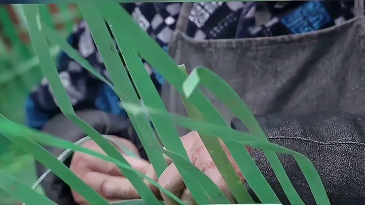 88岁阿公，自学利用废弃材料编织竹篮30余年。“支持环保事业，白送！”