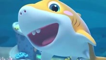 宝贝赳赳：赳赳在海洋馆见到鲨鱼，他们有尖尖的牙，真是太酷了