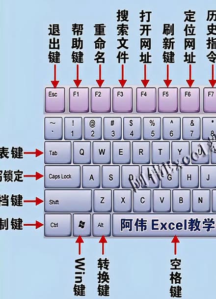 电脑键盘中文解释
