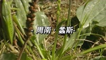 [图]诗经《螽斯》：故宫螽斯门来源哪里？为何成为宫中求子圣地？