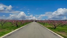 [图]一首好听的古风音乐《风催雨》天欲暗阳还未向西，趁着风偶遇一场雨