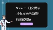 [图]【前沿快讯】研究揭示其参与神经病理性疼痛的缓解