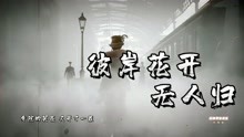 [图]一首好听的古风歌曲《彼岸花开无人归》DJ版 望穿秋水等几世轮回