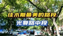 [图]骑行漫步佳木斯夏季最美的路段，光复路中段绿荫小道，榆树成荫