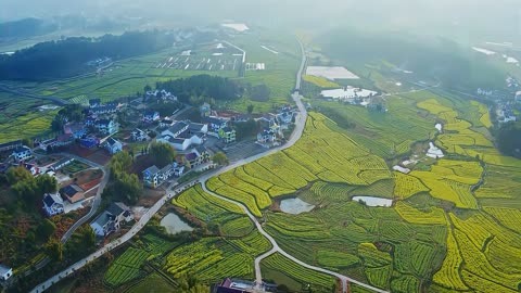 美丽乡村建设,农民享受的时间很少,看看谁才是真正的受益者?