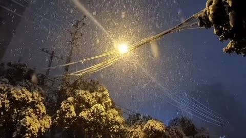 傍晚雪景下雪图片