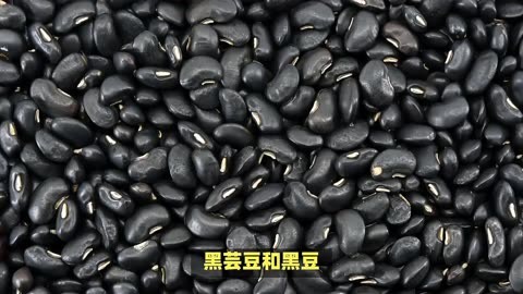 黑豆和黑芸豆的区别图图片