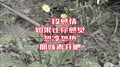 敷衍的图片 感情图片