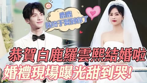 罗云熙白鹿结婚图片