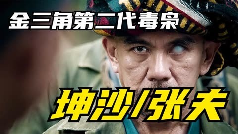 金三角大毒枭国语电影图片