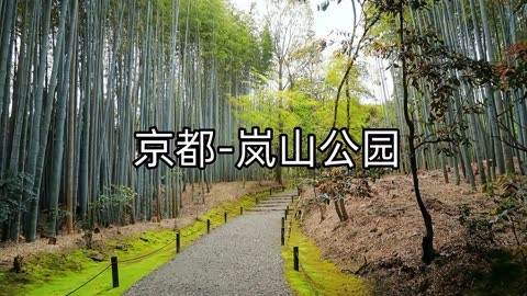 初到京都,随拍岚山公园,不算很好玩能与家人徒步旅行感到很轻松