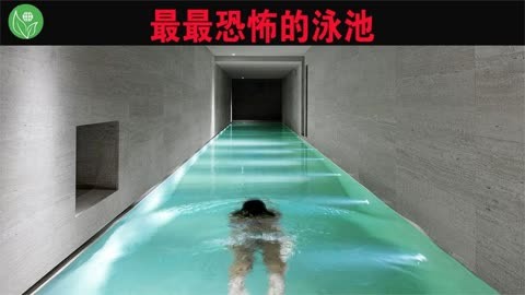 世界上最恐怖的游泳池!游泳久了会患上幽闭恐惧症
