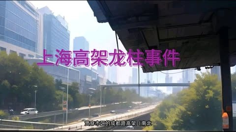 上海高架龙柱事件解析